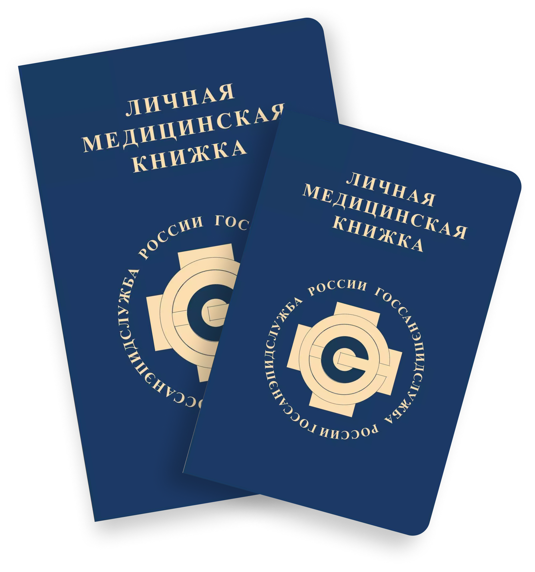 Личная медицинская книжка (ЛМК) оформление Москва